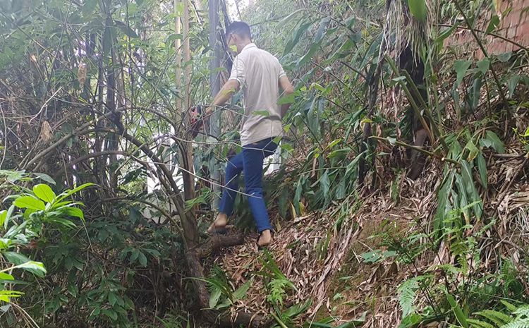 上山.jpg 上山.jpg